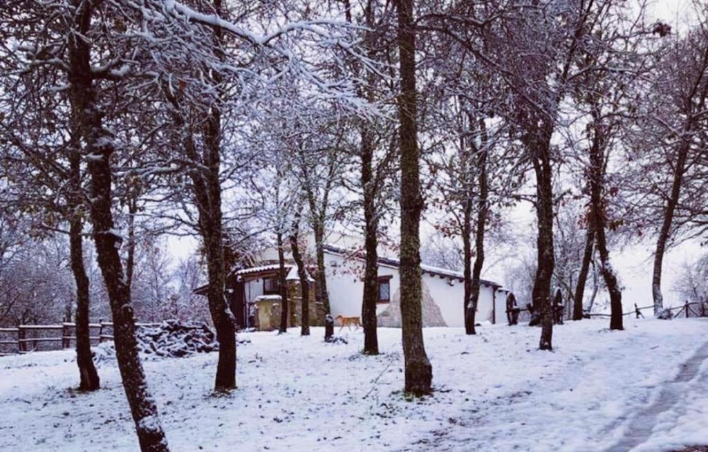 Ovostolai Cottage Fonni Exterior foto